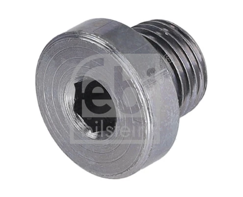 Screw Plug, automatic transmission casing
